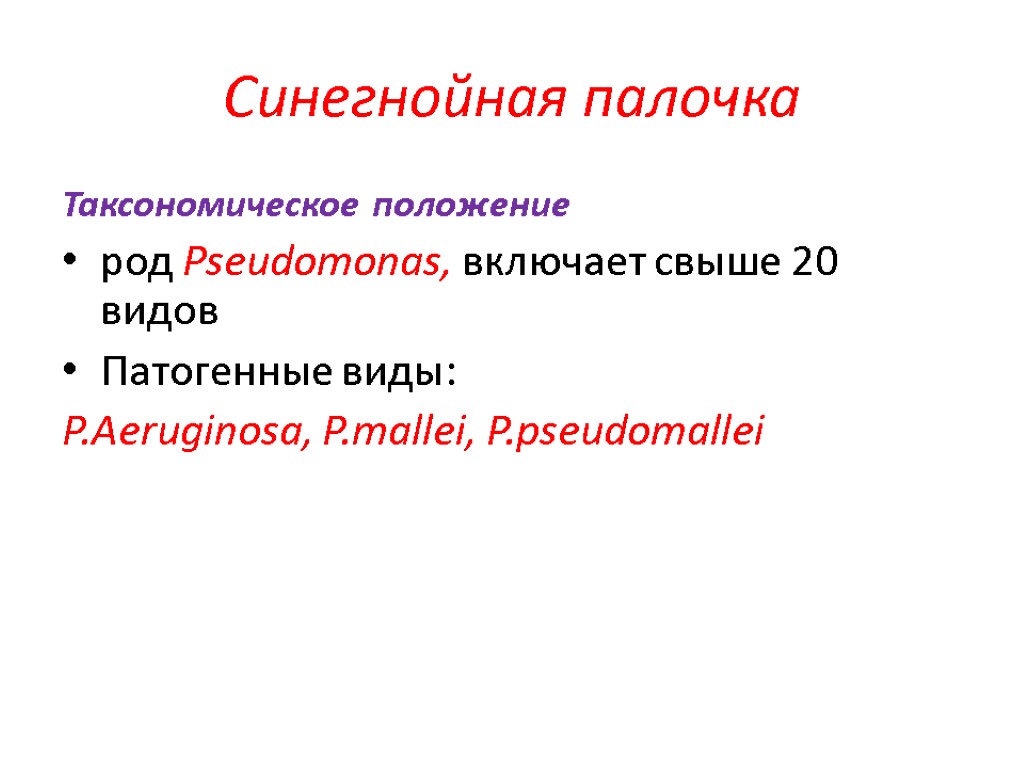 Синегнойная палочка Таксономическое положение род Pseudomonas, включает свыше 20 видов Патогенные виды: P.Aeruginosa, P.mallei,